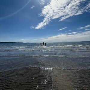 Meet your Posher, Hello,